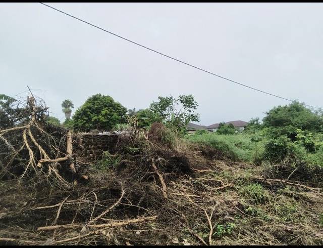 LAND FOR SALE IN THOHOYANDOU M